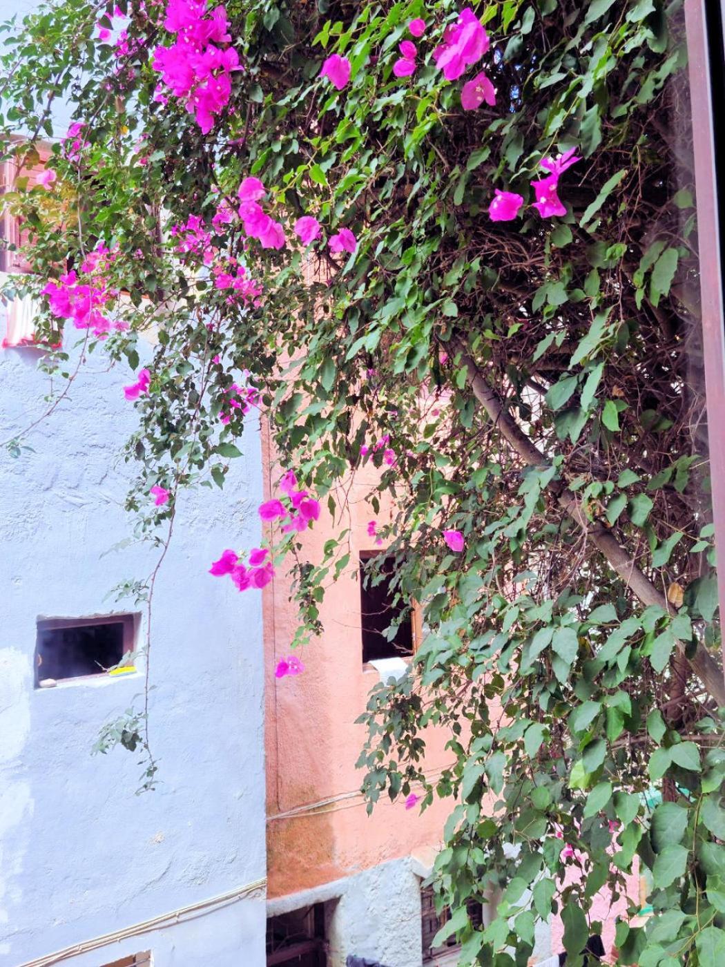 Maison D'Hotes Cite Portugaise เอลจาดิด้า ห้อง รูปภาพ